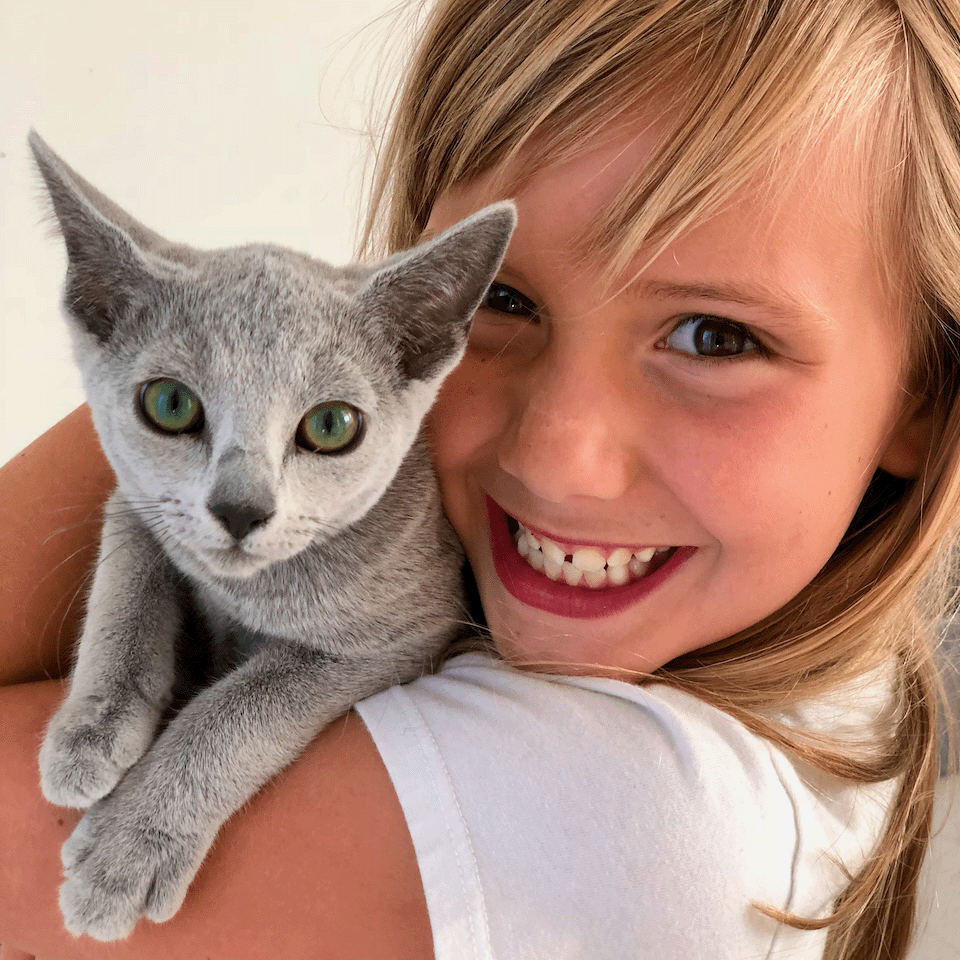 Image of a girl with a beautiful Russian Blue from Velva Cattery