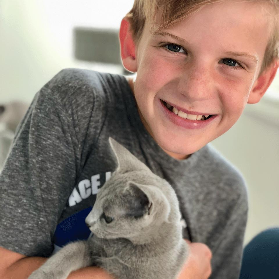 Image of a boy with a beautiful Russian Blue from Velva Cattery